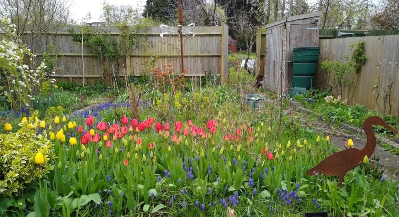 50-52 North Hinksey Lane